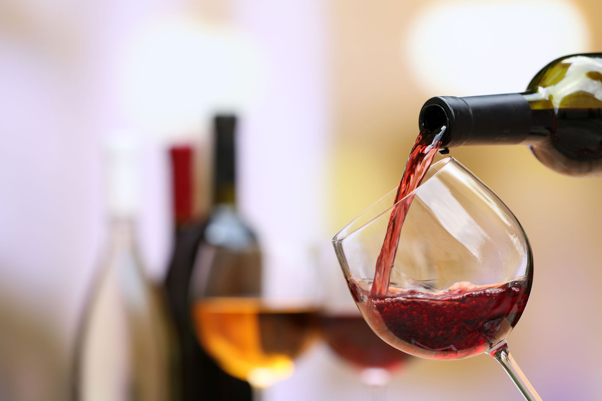 vendita vini vendita vini