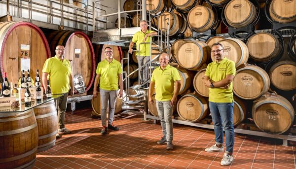 IMPERIALE Vino Spumante Millesimato Extra DRY - Domus Vini - - immagine 2
