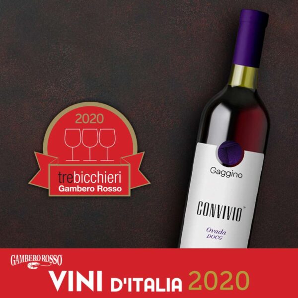 CONVIVIO Dolcetto Ovada DOCG - Gaggino - immagine 4