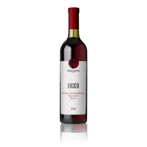 TICCO Barbera del Monferrato Superiore DOCG 2019 - Gaggino