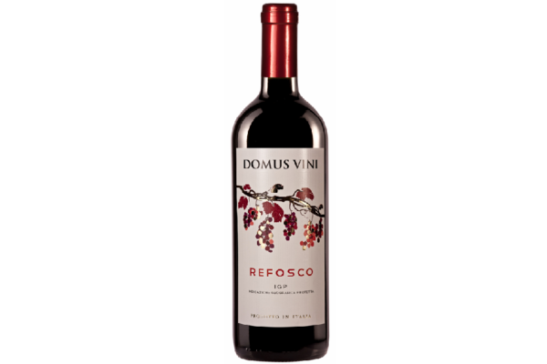 REFOSCO IGP DOMUS VINI