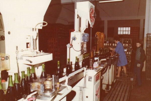 Gutturnio DOC - Cantine Bacchini - immagine 3