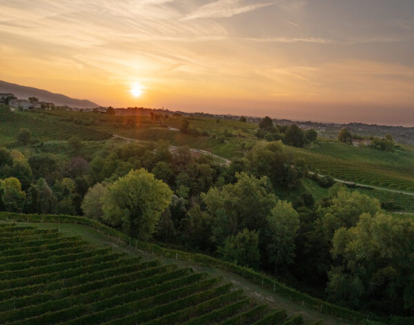 Conegliano Valdobbiadene Prosecco Superiore DOCG Cuvée Dry - La Marca - immagine 2