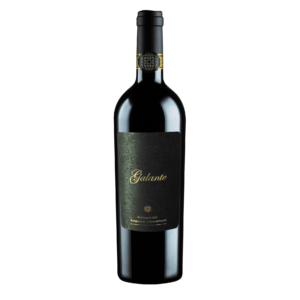 GALANTE Romagna DOC 2022 Sangiovese Appassimento - Terre Cevico