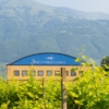 METODO CLASSICO Spumante Brut - Bacio della Luna - immagine 5