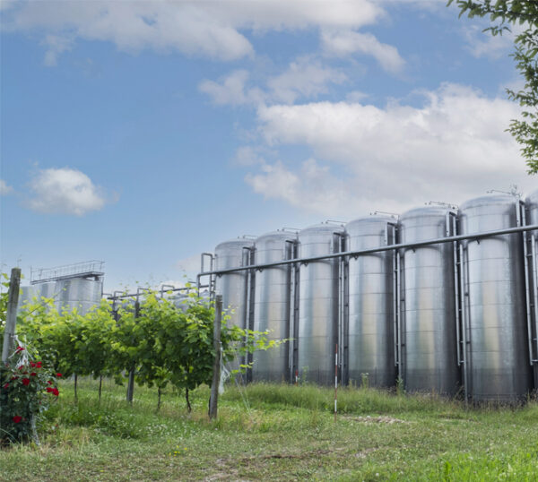 Valdobbiadene Prosecco Superiore DOCG Extra Dry Millesimato - immagine 2
