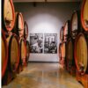 CERASUOLO D'ABRUZZO DOC - Cantina Zaccagnini - immagine 2
