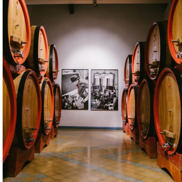 CERASUOLO D'ABRUZZO DOC - Cantina Zaccagnini - immagine 2