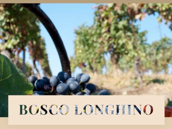Moscato IGT PV “1895”- Bosco Longhino - immagine 2