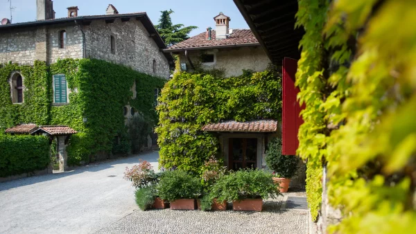 Franciacorta "BRUT 25" Blanc de Blancs - F.lli Berlucchi - immagine 4