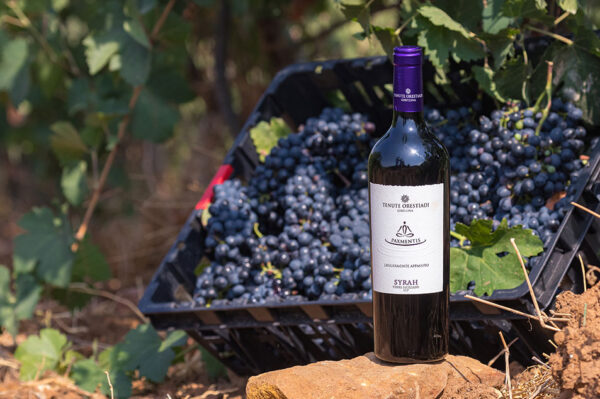 PAXMENTIS Syrah IGP magnum da 1,5 lt con cassettina in legno - Tenute Orestiadi